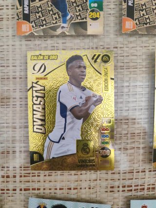 Cromos Dinasty 24-25