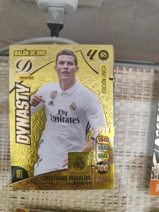 Cromos Dinasty 24-25