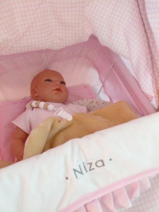 Cochecito de muñecas rosa Niza