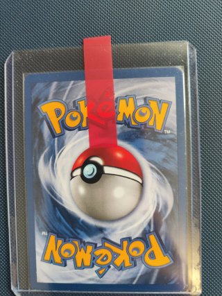 Pack Cartas Pokémon Charmeleon Base Set 1999 etc