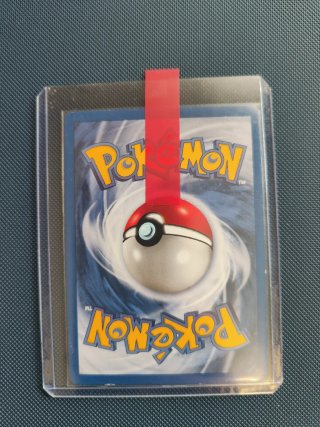 Pack Cartas Pokémon Charmeleon Base Set 1999 etc