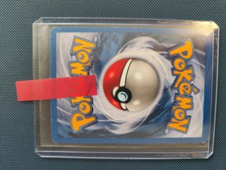 Pack Cartas Pokémon Charmeleon Base Set 1999 etc