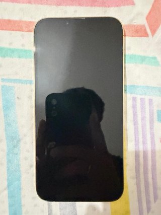 iPhone 13 Pro Max dorado