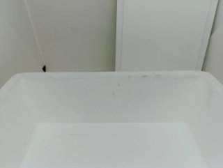 Custom White 360 Box Concepts
