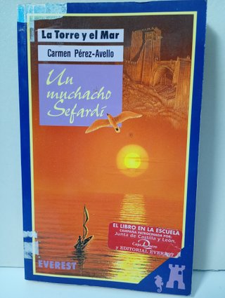 Lote de libros de lectura juvenil