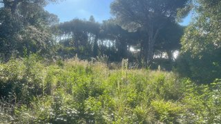 Solar en venta en Cabrils