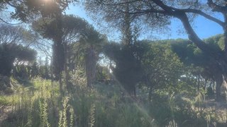 Solar en venta en Cabrils
