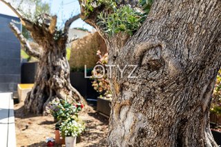 Chalet en alquiler en Fenals en Castell-Platja d´Aro