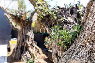 Chalet en alquiler en Fenals en Castell-Platja d´Aro