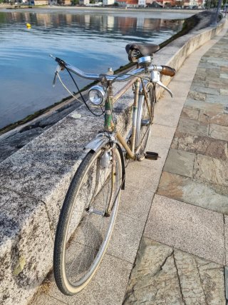 Bicicleta paseo belga Rueda 700