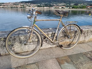 Bicicleta paseo belga Rueda 700