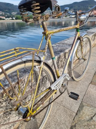 Bicicleta paseo belga Rueda 700