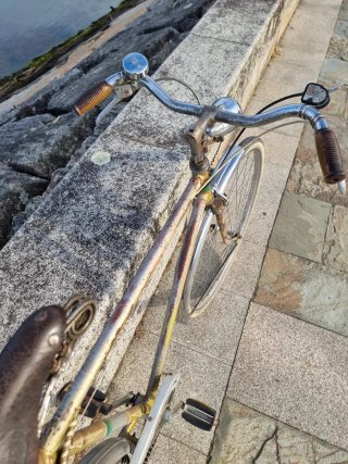 Bicicleta paseo belga Rueda 700