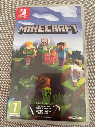 Minecraft Nintendo Switch