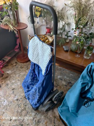 Lote de 2 carritos de la compra azules