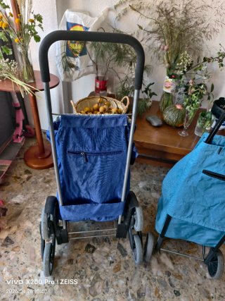 Lote de 2 carritos de la compra azules