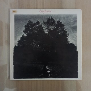 Lote vinilos LP guitarra flamenca.