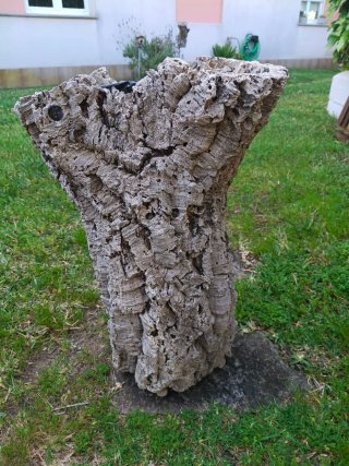 Macetero de corcho grueso también para terrario