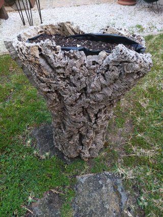 Macetero de corcho grueso también para terrario