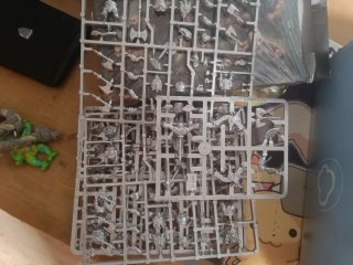 Warhammer Fantasy Enanos