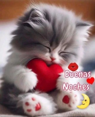 Colección Películas Disney VHS Español