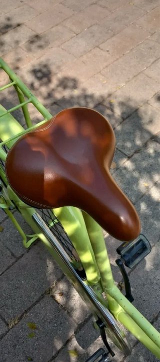 Bicicleta Holandesa Verde Pistacho
