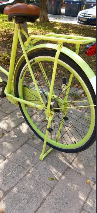 Bicicleta Holandesa Verde Pistacho