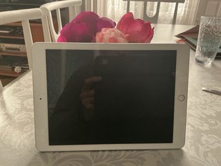 iPad 6ª Gen Wifi 128GB Plata A1893