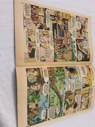 Lote de comics