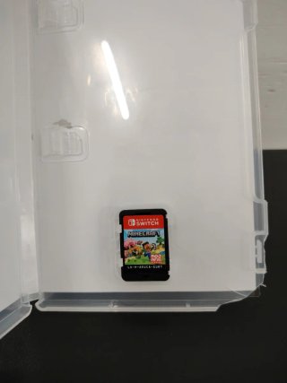 Switch Minecraft