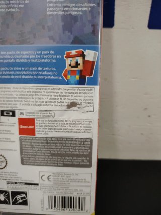 Switch Minecraft