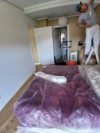 Servicios de pintura profesional