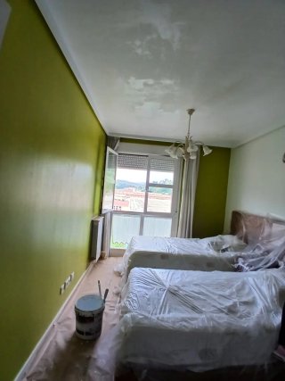 Servicios de pintura profesional