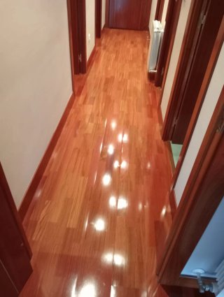 Servicios de pintura profesional