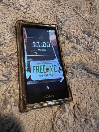 Sony Walkman NW-A100Series Lettore MP3 hires