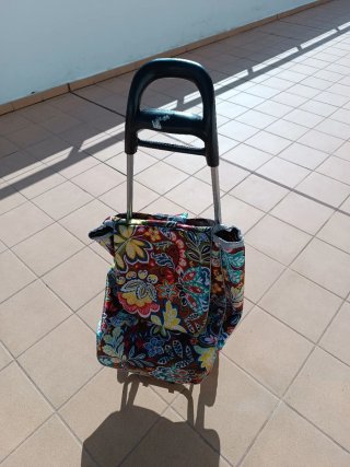 Carro de compra con bolsa estampada