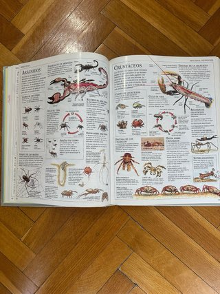 El Gran Libro de Consulta.