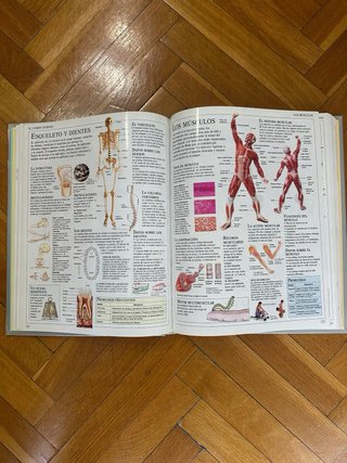 El Gran Libro de Consulta.