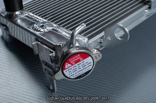 Radiador SUZUKI GLADIUS 650 SFV 2009 - 2017