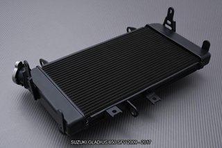 Radiador SUZUKI GLADIUS 650 SFV 2009 - 2017