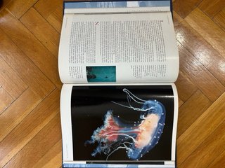 Libro Los Reinos del Mar