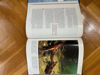 Libro Los Reinos del Mar