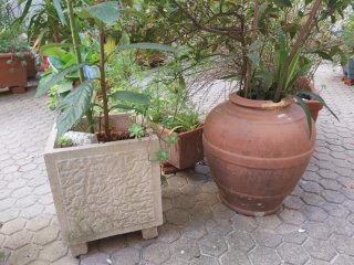 Tinaja de barro con plantas y macetas varias