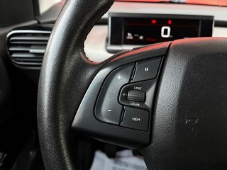 Citroën C4 Cactus Shine 100Cv