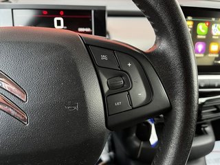Citroën C4 Cactus Shine 100Cv