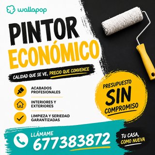 Pintor Económico Profesional