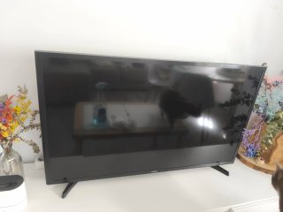 Televisor Samsung Negro
