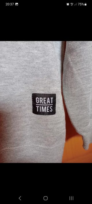 Sudadera Great Times Gris
