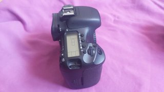 Canon EOS 7D + Sigma 17-70mm f/2.8-4