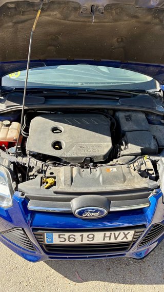 Ford Focus 1.6 TDCI 115CV